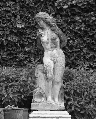 Venus?