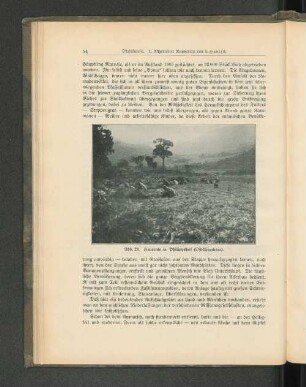 Abb. 28. Heuernte in Philippshof (Ost-Usambara).