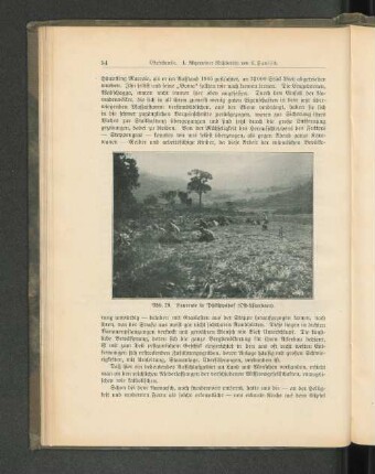 Abb. 28. Heuernte in Philippshof (Ost-Usambara).