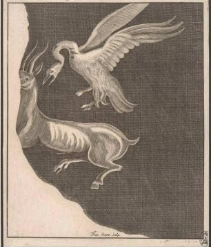 Ziege und Vogel, Abb. 40 aus: Disegni intagliati in rame di pitture antiche ritrovate nelle scavazioni di Resina, Neapel 1746