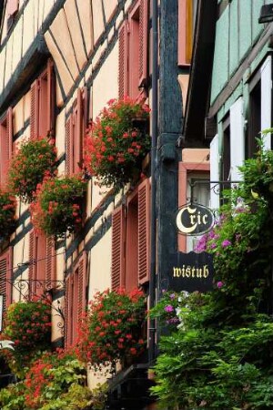 Frankreich. Alsace. Haut Rhin. Riquewihr. Typische Fachwerkfassade mit Blumenschmuck