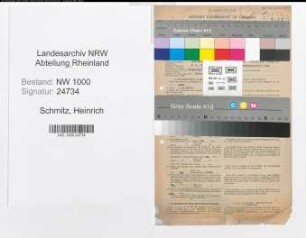 Entnazifizierung Heinrich Schmitz, geb. 28.10.1902 (Bankangest.)