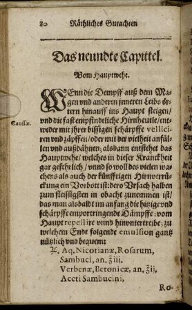 Das neundte Capittel. Vom Hauptwehe
