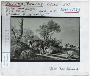 Paulus Potter: Kühe und Ziegen. München, Pinakothek