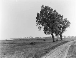 Hiddensee