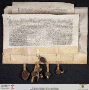Gesamtansicht Vorderseite (Urk. Lehmann 326-329)