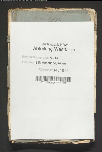 Reiste: Schultenhof und Unterhöfe: 1. Jurgen Schulten 1528; 2. Jurgen Schulte ./. Heyneman Kerll, Hoveling zu Wenholthausen; Urteil des Christoffer von Loen, Freigraf zu Arnsberg und Freivogt zu Meschede; Absetzung wegen Nichteinhaltung der Verpflichtung zur persönlichen Bebauung des wüsten Gutes und Errichtung eines Gebäudes 1536; 3. Lehnbrief für Jürgen Freboling namens seiner Kinder des + Jurgen Schulte 1541; 4. Volpert Schulten; 5. Volpert Schulten ./. seine Hovelinge zu Nieder-Reiste, Beisinghausen, Bremke und Frielinghausen wegen etlicher Haferpächte 1572; 9. Wilhelm Schulte zu R. ./. Kinder des Caspar Wendt zu Westenfeld: Veräußerung seines Unterhofes ohne sein Wissen und Nichtentrichtung der Pacht 1583-84; 12. Schweder Schulte ./. Tonis Reuper (Röper) zu Beisinghausen: Rückgängigmachung des Verkaufs des Gutes 1626; 24. desgl. ./. Joh. Dömmeken zu Bremke wegen Verpfändung einer Wiese 1627; 26. Ermahnung des Propstes zur besseren Aufsicht über die Afterlehen, insbesondere Wiederbesetzung der ledigen Güter Bottmars und Mollers 1649; 28. Aufforderung zur Entrichtung des Hergewedes 1659; 30. Propst ./. Wilhelm Schulten und Henrich Reuper zu Beisinghausen wegen Veräußerung des Unterhofes 1667; 31. Aussage über die Verpflichtungen des Tonis Hop zu R. 1669; 33. Aufforderung an die Subvasallen zur Designation (Hermann Jörgen zu Büemke - Jürgen Henrichs Huneken, Henrich zu Nieder-Reiste, Joh. Pletz zu Beisinghausen, Volpert Klöpper daselbst, Thonies Moller zu Bremke, Hans Becker zu Beisinghausen, Henrich Lohagen zu Büenfeld, Dirck Lutter zu Altenilpe, Joh. Bottmer zu Bremke, Paul Klauke zu Frielinghausen, Jost Dömmeke zu Bremke, Ebbert Veck zu Bremke und Rotger Wortmann zu Nieder-R.) und Empfang von Gewinnbriefen 1671-72; 39. Lehnbrief für Thönies Schulten 1700. 1724; 42. Joh. Schulten 1732. 1764; 45. Joh. Jost Schulten 1793; 47. Spezifikation der zum Schultenhof gehörenden Stücke und Lasten sowie die der Hovelinge 18. Jh.; 63. desgl. des Hinrich Roeper zu Beisinghausen 1653; 65. Verzeichnis der 19 Afterlehen 1672; 67. Spezifikation des Vents-Gutes zu Westenfeld 17. Jh.; 70. Spezifikation des Schultenhofes und der Hovelinge 1653
