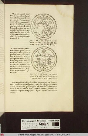 2 Abbildungen: 1. [Medaillon mit sitzendem Soldaten, der eine Schlange in den Händen hält und einem darüber schwebenden Adler mit einem Anker in seinen Klauen] 2. [Medaillon mit Pteryges, gekreutzten Waffen, Füllhörnern und Federn]