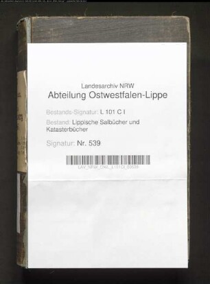 Salbuch des Amtes Blomberg von 1849, Bd. 1