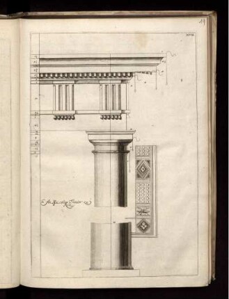 Illustration XVII: An Marcellus Theater zu Rom