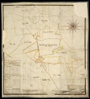 Obereisenbach: Tannau, Stadt Tettnang, Bodenseekreis "Geometrische Aufnahme über die Vereinödung der Reichs-Gottes-Haus Weissenauischen Schupflähen-Unterthanen zu Ober-Eisenbach"