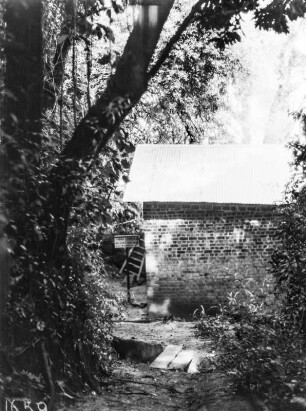 Ein Haus : Ein Haus umgeben von Vegetation