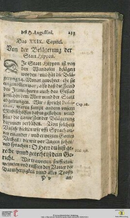 Das XXIX. Capitel