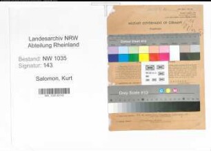 Entnazifizierung Kurt Salomon , geb. 07.01.1908 (Dolmetscher)