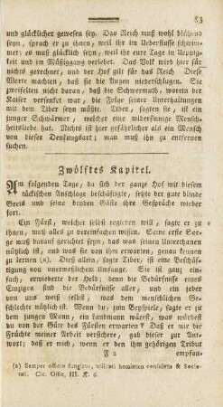 Zwölftes Kapitel.