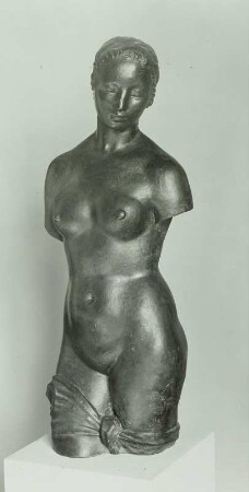 weiblicher Torso