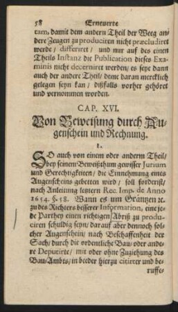 Cap. XVI. Von Beweisung durch Augenschein und Rechnung.