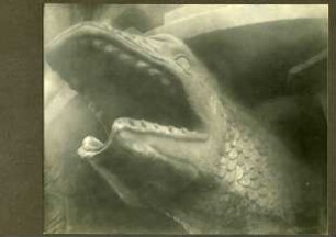 Leiningen Oberhof. Drachenkopf als Wasserspeier, 18. Jh. Detail