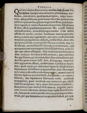 Thesis I. - Th. XXX.