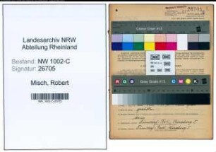 Entnazifizierung Robert Misch, geb. 14.02.1884 (Kaufmann)