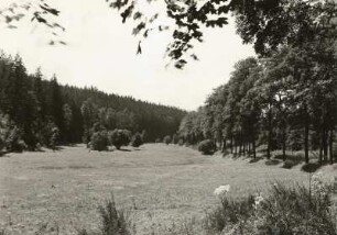 Erzgebirge. Bielatal nördlich Olbernhau