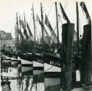Finkenwärder Kutterflotte in Cuxhaven, Norddeutsche Küste