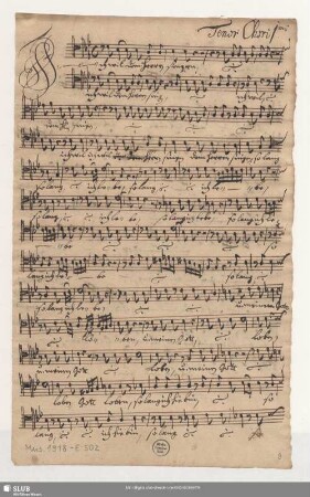 Tenor Chori 1mi