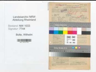 Entnazifizierung Wilhelm Bolte , geb. 14.12.1896 (Schreiner)