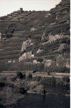 Altenahr: Ahrtal; Weinberge