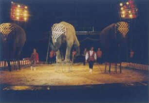 Circus Berolina, Magdeburg - Berlin, 1973-2004