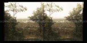 Blick auf Honnef, Rhein und Rolandseck
