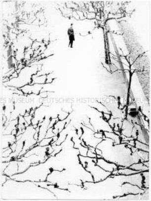 Ein Mann auf einer Promenade, von oben durch blattlose Bäume hindurch gesehen