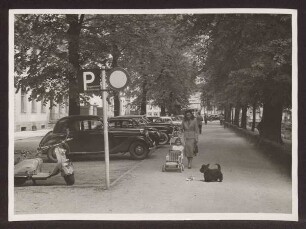 Allee mit Parkbuchten, Blick nach Norden. Detmold