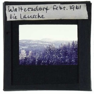 Lausche