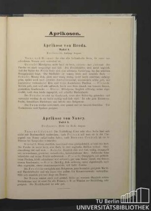Aprikose von Breda. Tafel 1. / Aprikose von Nancy. Tafel 2.
