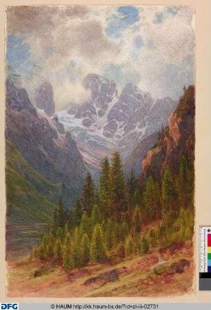 Gebirgslandschaft mit Nadelbaumwald
