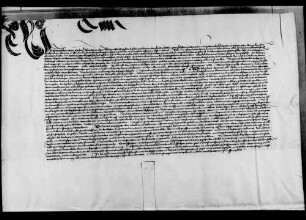 Der Hofrichter zu Rottweil bestätigt den wörtlich eingerückten Verzicht WR 13 201.