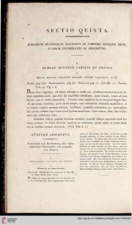 Sectio quinta