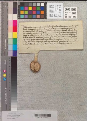 Dasgleiche tut der Paderborner Kanonikus Friedrich, Sohn des obigen Grafen Conrad von Rietberg.