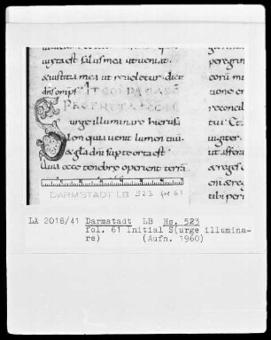 Paulus Diaconus, Homiliarium (Winterteil) und andere — Initiale S(urge illuminare), Folio 61recto