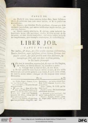 Liber Job