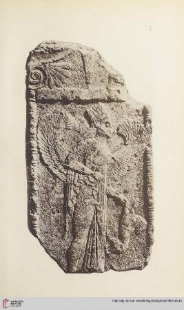 Tafeln I-XIV