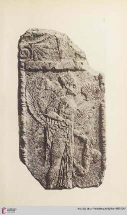 Tafeln I-XIV