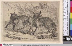 [Zwei Wölfe; Two Wolves]