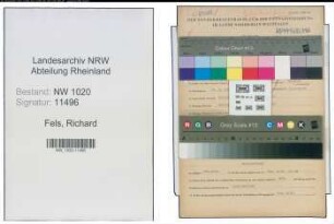 Entnazifizierung Richard Fels , geb. 15.02.1907 (Verwaltungsinspektor)
