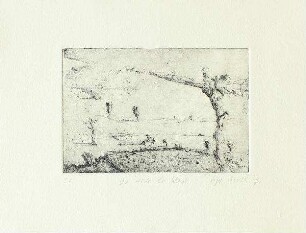 Die Heide bei Wesel