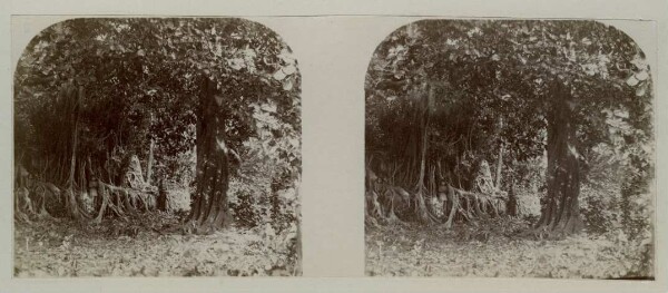 "King's Tomb, Tonga."