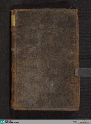 Gebet-und Gesangbuch - Cod. Ettenheim-Münster 386 : dem hl. Joh. Nepomuk zu Ehren