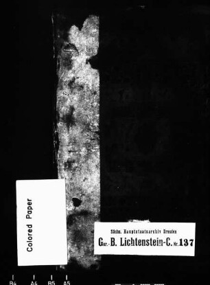 Gerichtshandelsbuch von Mülsen St. Niclas, Bd. 07