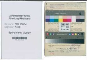Entnazifizierung Gustav Springmann , geb. 27.06.1908 (Fahrhauer)